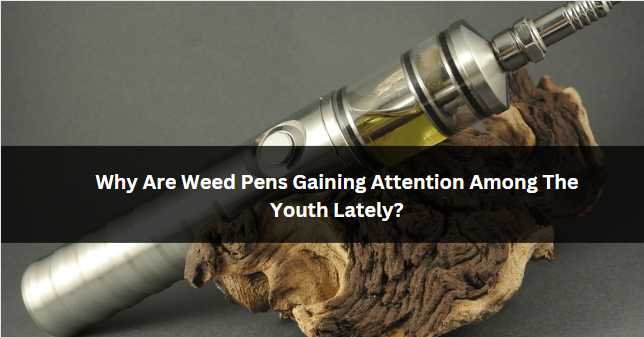 Why Are Weed Pens Gaining Attention Among The Youth Lately?